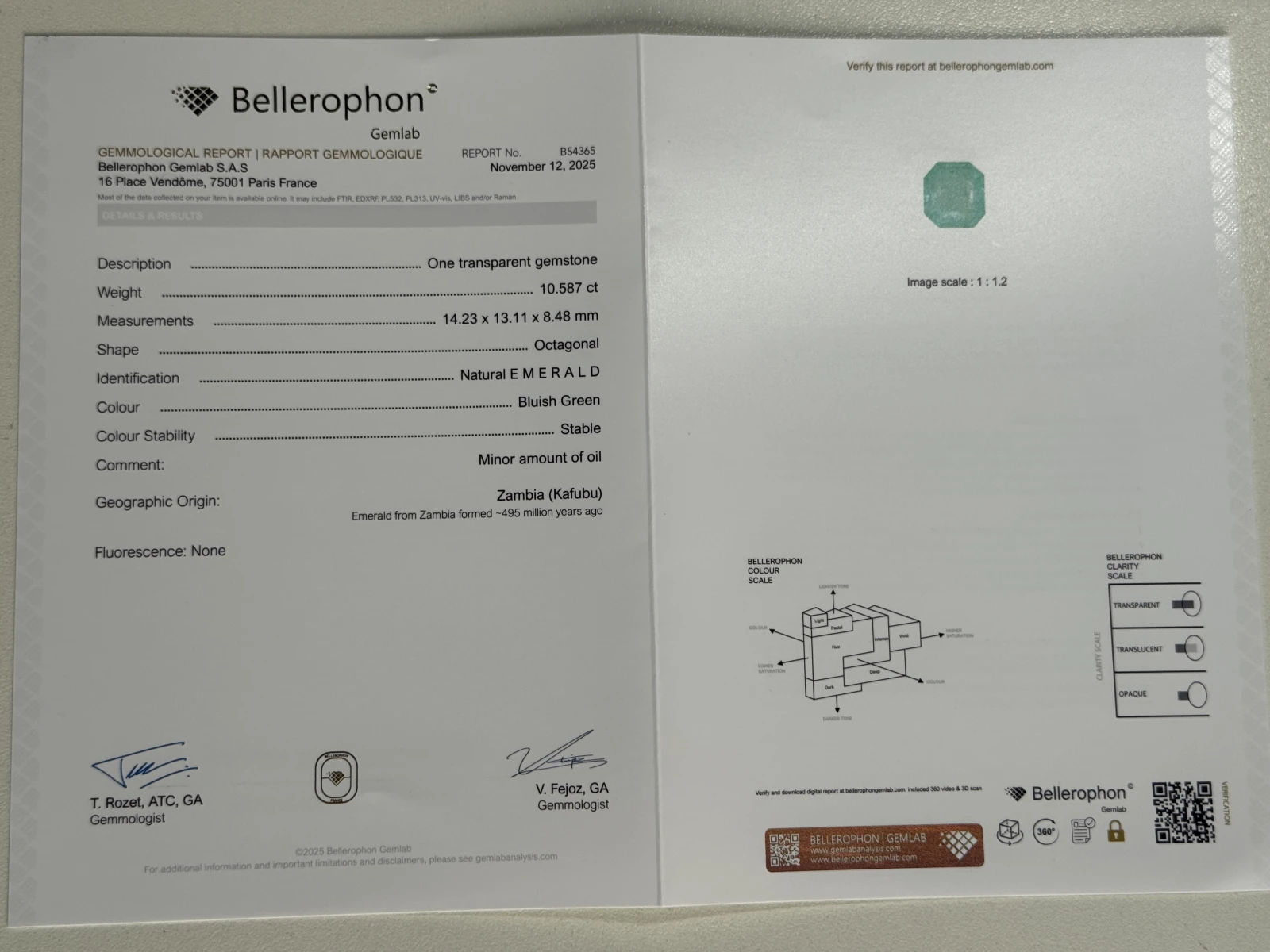 Bellerophon Certified 10.58 Ct Natural Bluish Green  Emerald Octagonal Shape Loose Gemstone from Zambia — view 1