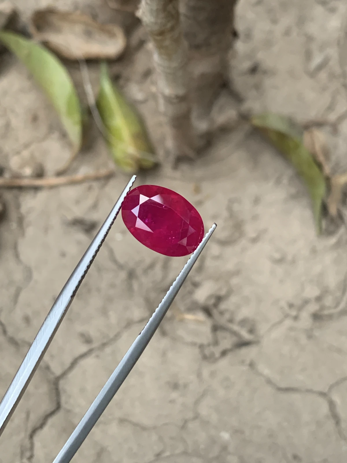 Bellerophon Certified 6.809 Ct Natural Ruby Oval Shape  Loose Gemstone — view 2
