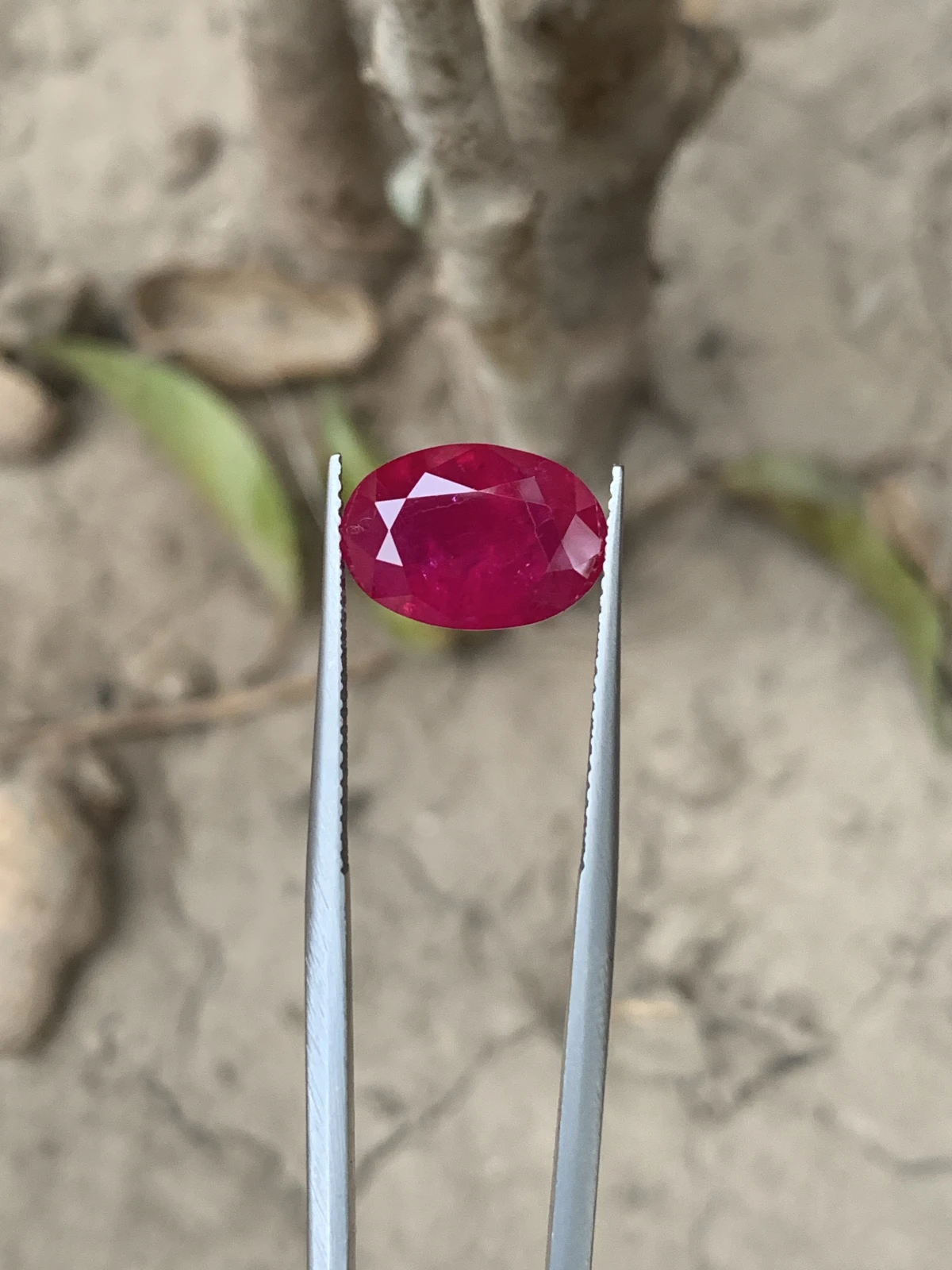 Bellerophon Certified 6.809 Ct Natural Ruby Oval Shape  Loose Gemstone — view 3