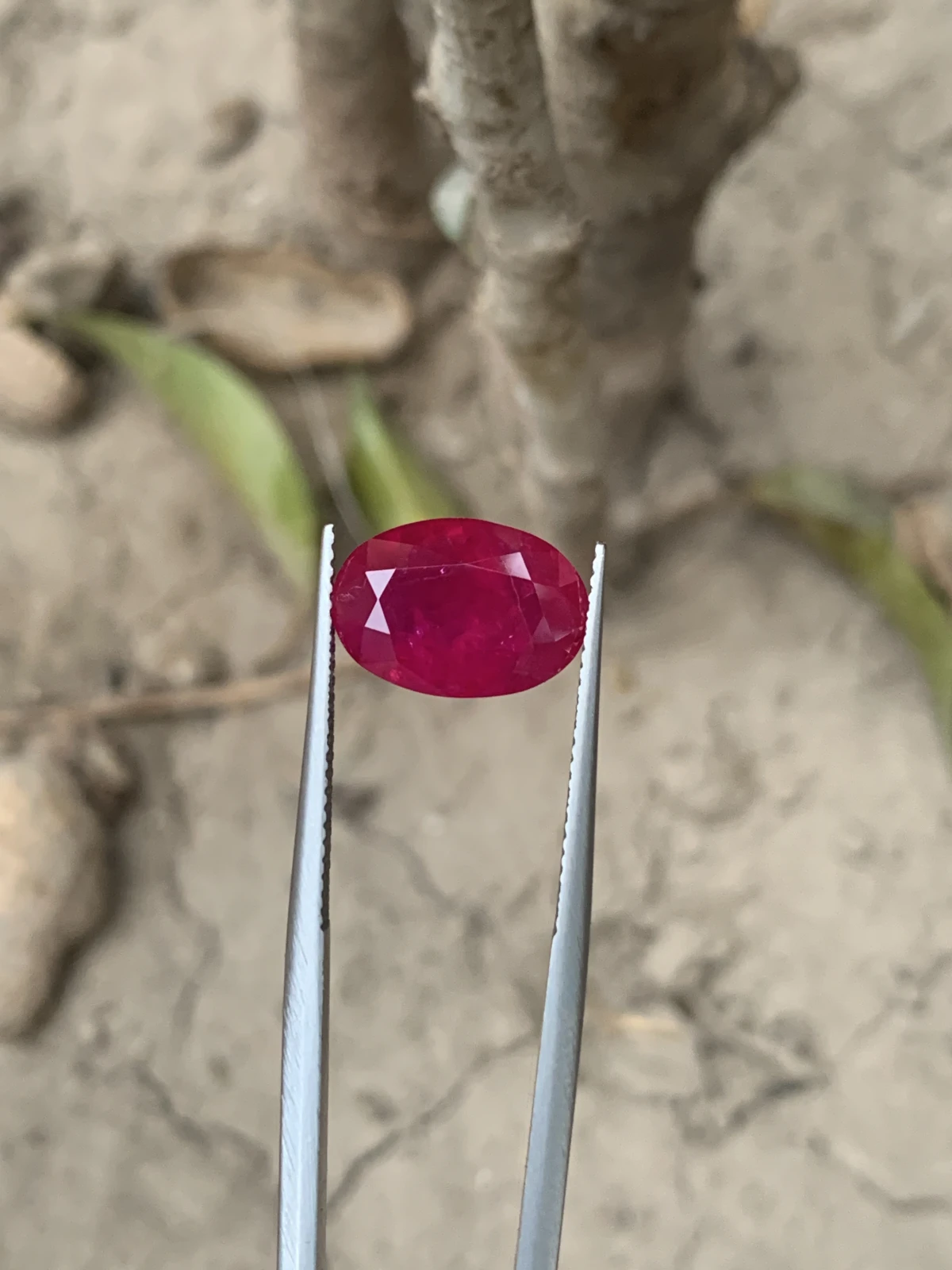 Bellerophon Certified 6.809 Ct Natural Ruby Oval Shape  Loose Gemstone — view 5