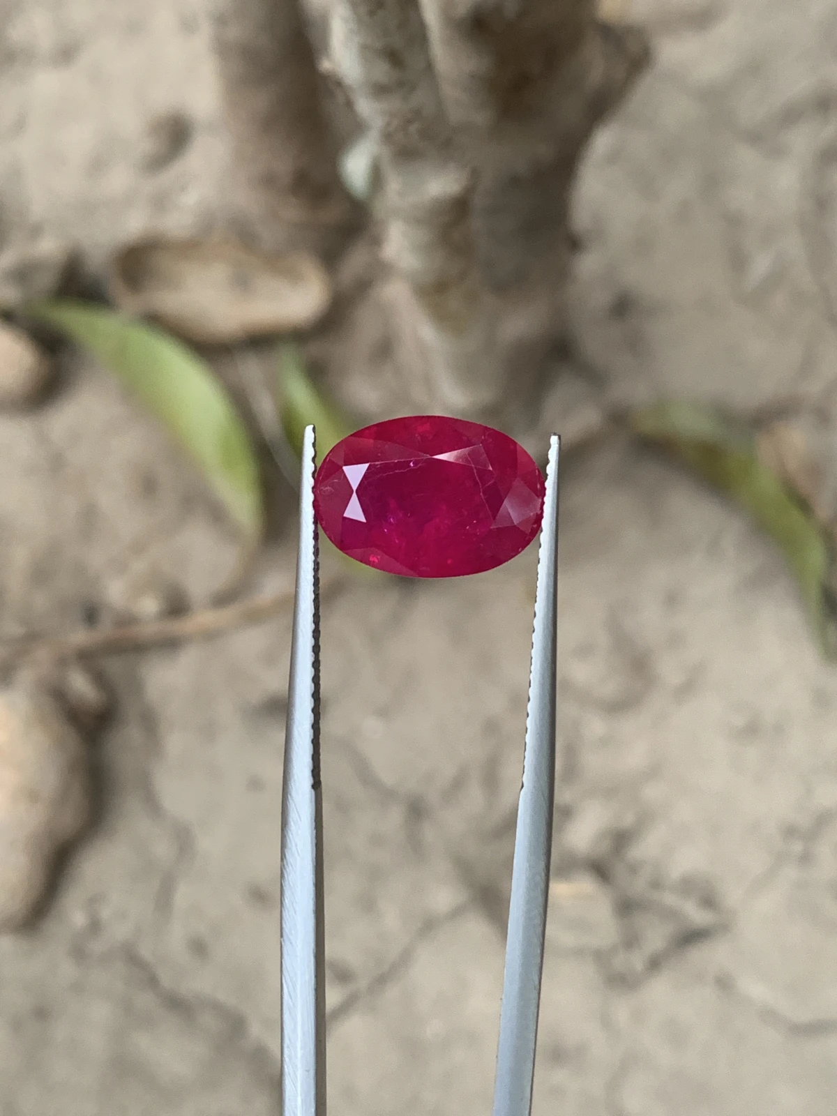Bellerophon Certified 6.809 Ct Natural Ruby Oval Shape  Loose Gemstone — view 4