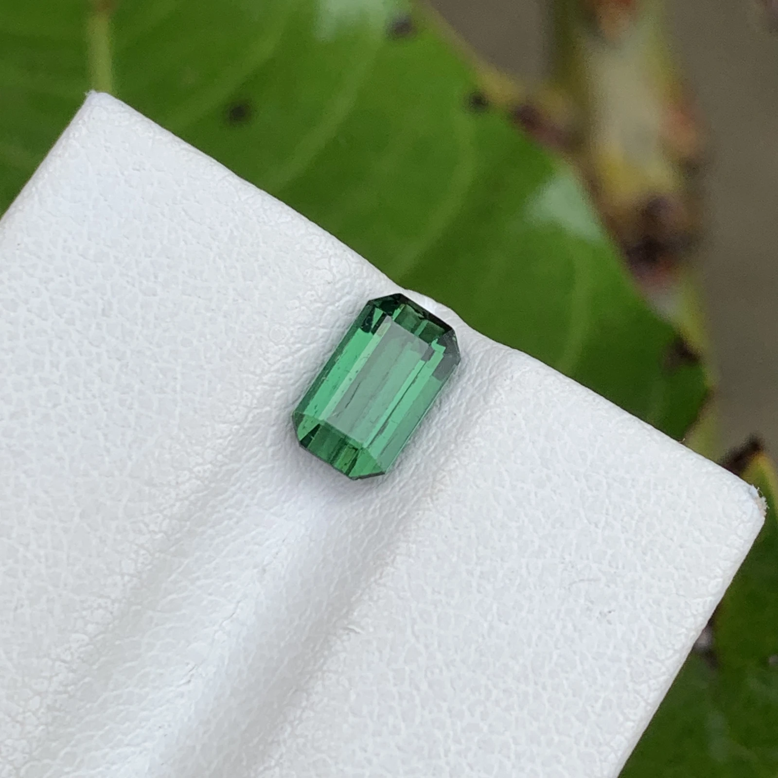 1.30 ct Natural Tourmaline loose gemstone octagon shape — view 2