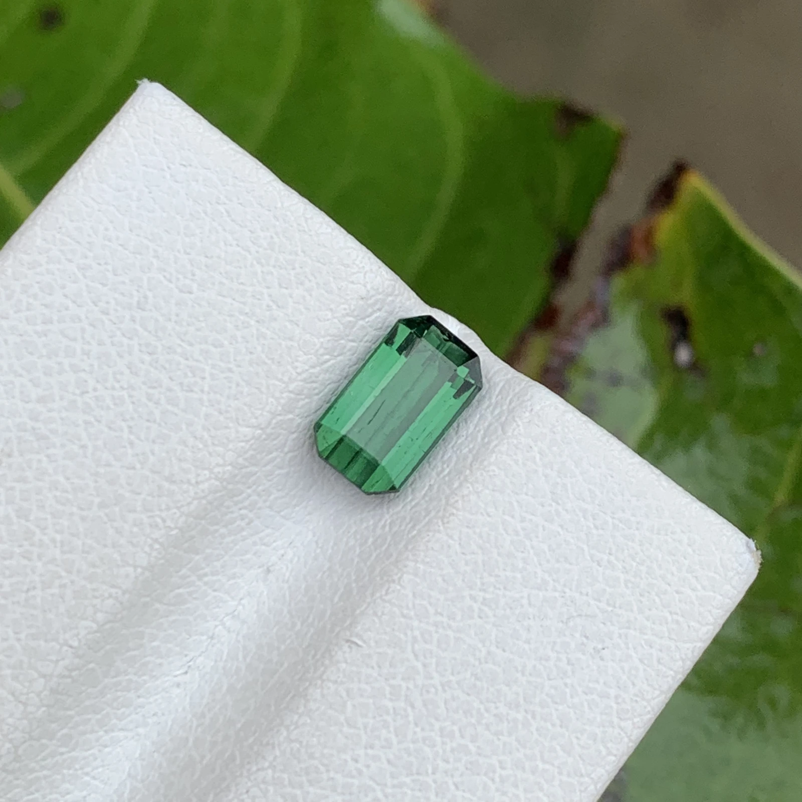 1.30 ct Natural Tourmaline loose gemstone octagon shape — view 3